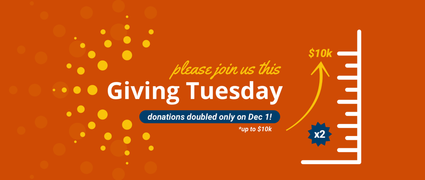 Easterseals Giving Tuesday graphics