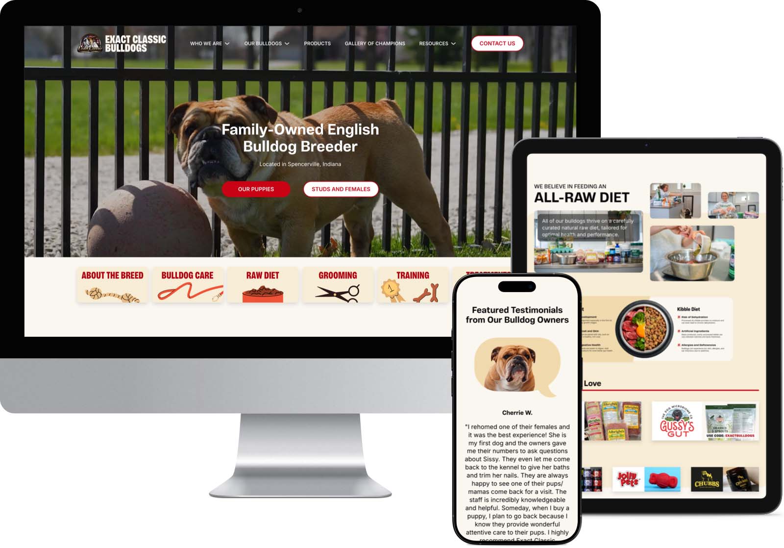 Website Design & Development Website Design & Development