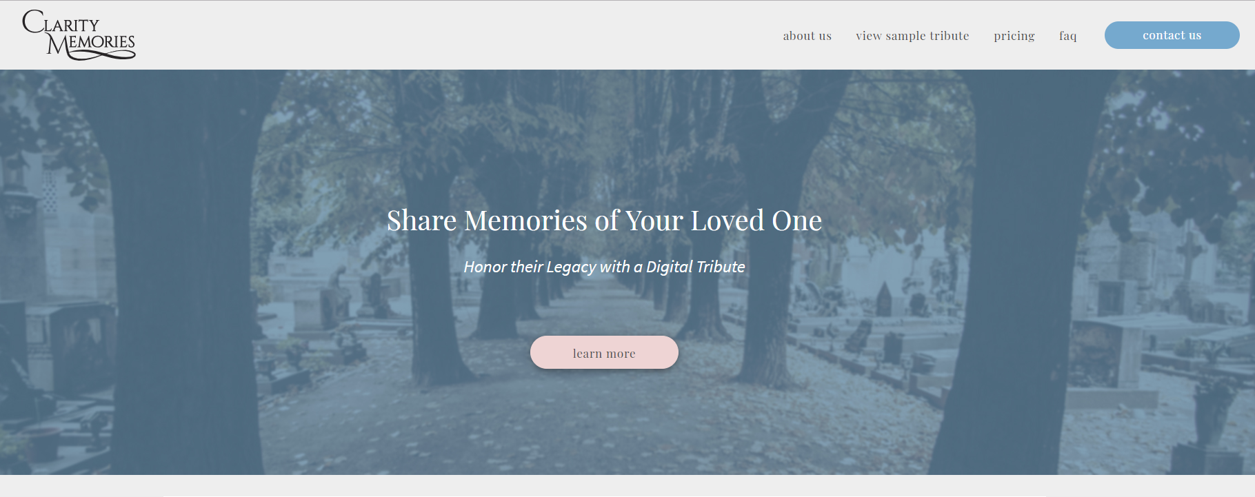 Homepage view of Clarity Memories website