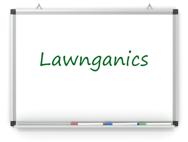Lawnganics brainstorming