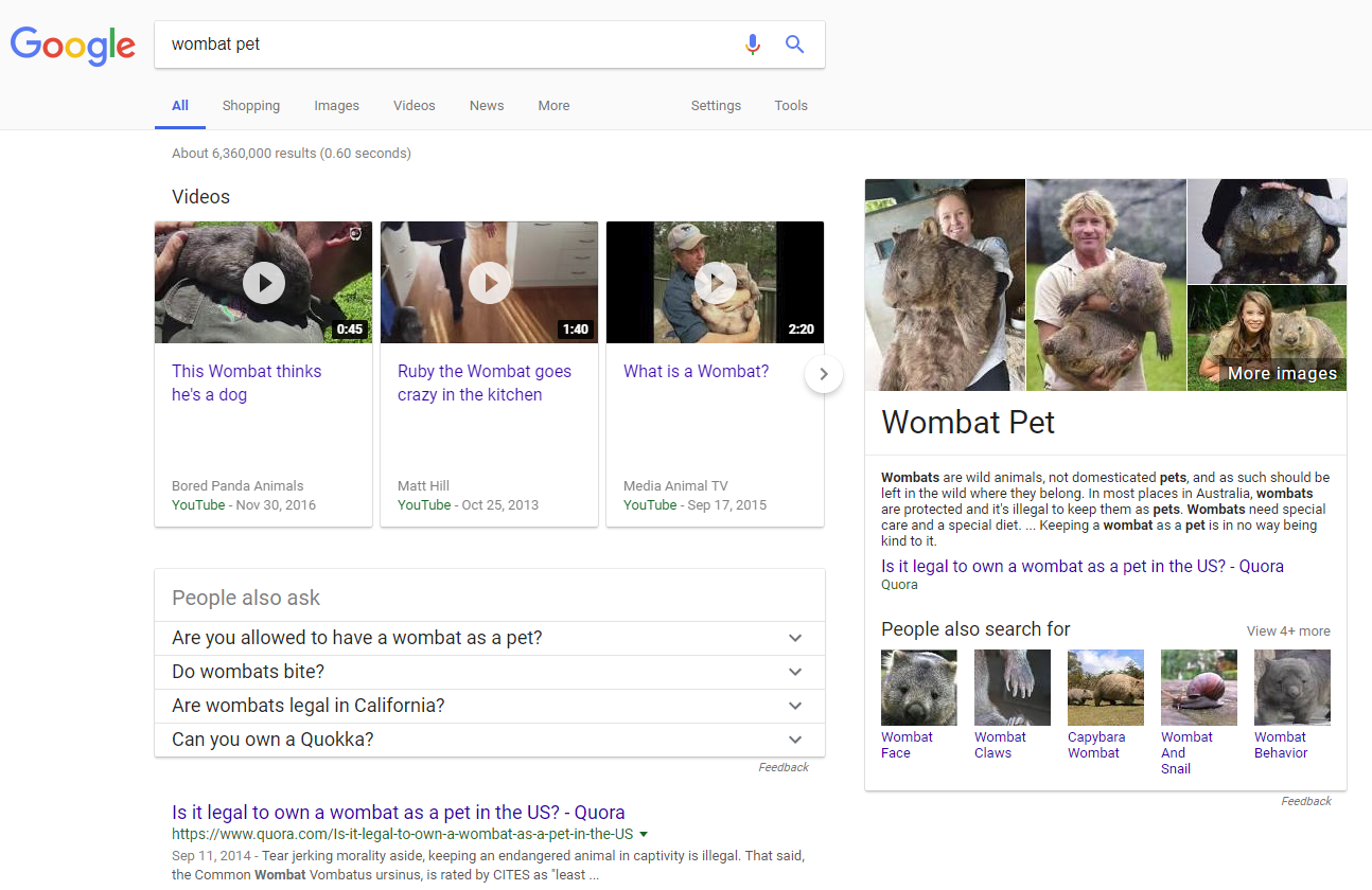 Wombat Pet Google Search Results