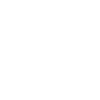 Business Intelligence